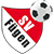 Landesliga - Tirol Live Scores, Results